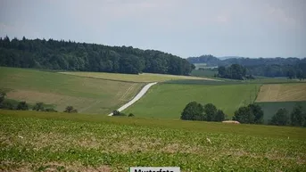 Expose Land- und Forstwirtschaftsfläche