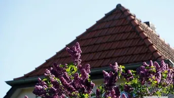 Expose Einfamilienhaus mit Nebengebäude