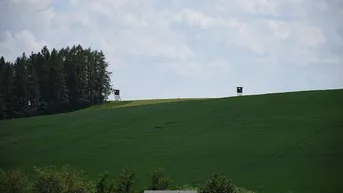 Expose Landwirtschaftliche Grundstücke