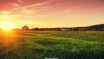 Expose Landwirtschaftliche Grundstücke