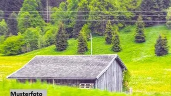 Expose Land- und Forstwirtschaftl. Anwesen mit Hofstelle