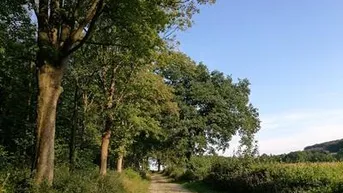Expose Land- und Forstwirtschaftsfläche