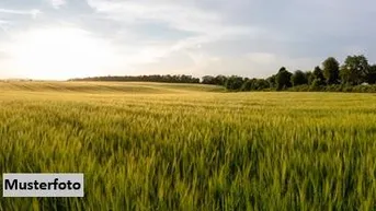 Expose Landwirtschaftsflächen