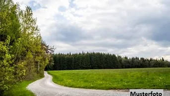 Expose Land- und Forstwirtschaftsfläche