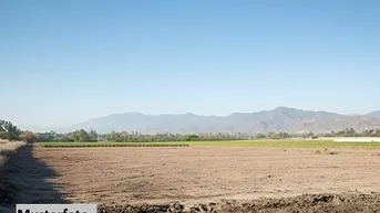 Expose Landwirtschaftsfläche