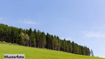 Expose Land- und Forstwirtschaftsfläche