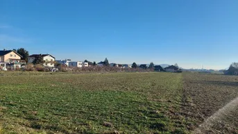 Expose Traumhaftes Baugrundstück in Leobendorf | 767 m2 | BK I,II 40% verbaubar | ohne Bauzwang