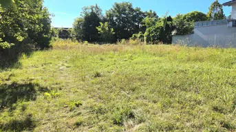 Expose Juwel: zentrales Baugrundstück in Korneuburg | 535 m2 | Bauklasse I,II - 25% | offene Bauweise