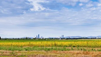 Expose Großzügiges 1060m² Grundstück mit Altbestand | teilbar | Ruhelage | BK I, 6,5m, offen, 25% bebaubar