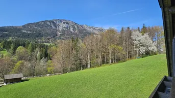 Weitläufiger Blick über grüne Wiesen und Wälder auf die umliegende Berglandschaft.