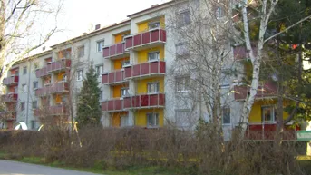 Expose Neu Sanierte Wohnung mit Balkon