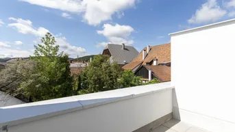 Expose Sonnige Dachterrassenwohnung in Wilhelmsburg