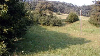 Expose Schnäppchen Wunderschöne, südseitige Wiese, ! K E I N BAUGRUND !!