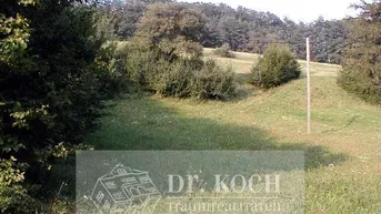 Expose Schnäppchen Wunderschöne, südseitige Wiese, ! K E I N BAUGRUND !!