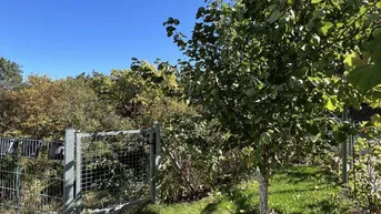 Expose Moderne Wohnoase in Top-Lage: Doppelhaushälfte mit Panoramablick, Garten, Terrasse, 2 Stellplätzen &amp; 2 Außen- Abstellräume!