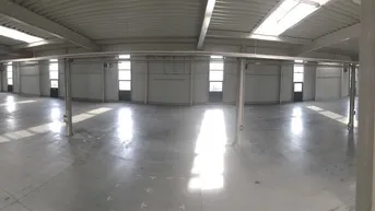 Expose Produktions- und Lagerhalle in Hörsching an der B1