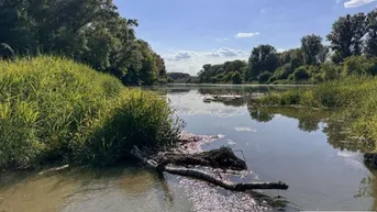 Expose HIER LÄSST ES SICH LEBEN! Durchdachte Kleinwohnungen für Naturliebhaber in WIEN-NÄHE!