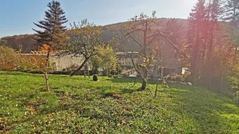 Expose Sehr gut bebaubare Liegenschaft mit eigenem Wald!