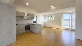 Expose TRAUMLAGE mit BLICK AUF DIE ALTE DONAU - 3 Terrassen - Grünruhelage an der U1
