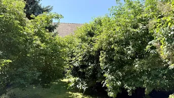 Expose idyllischer verträumter Garten - kein vis-a-vis - einzigartiger Baugrund - 578 m²