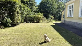 Expose Altbauvilla - absolute Grünruhelage - 2 getrennte Wohneinheiten - 1.100 m² Garten mit Pool