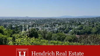 Weitläufiger Panoramablick über die Stadt und die umliegende grüne Landschaft mit Weinbergen.