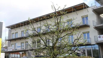 Expose Geförderte Mietwohnung mit Kaufoption in Gleisdorf