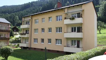 Expose Kleinwohnung in Unzmarkt