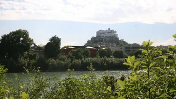 Panoramablick auf die Festung Hohensalzburg über dem Fluss, umgeben von üppiger Natur.