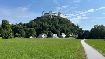 Weitläufige Grünfläche mit Blick auf die historische Festung Hohensalzburg unter blauem Himmel.