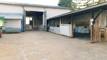 Expose Schlachtbetrieb mit Büro + Wohngebäude zu verkaufen!