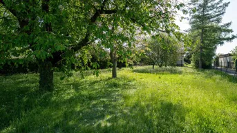 Expose ++ Idyllisches Grundstück mit einfachem, sanierungsbedürftigem Ferienhaus ++