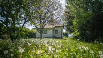 Expose ++ Idyllisches Grundstück mit einfachem, sanierungsbedürftigem Ferienhaus ++