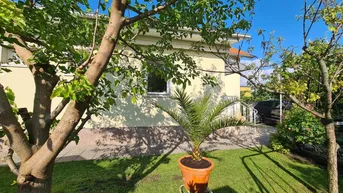 Expose Einfamilienhaus in Wampersdorf, Bezirk Baden!