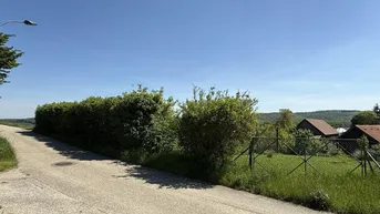 Expose Großzügig, idyllisch &amp; voller Möglichkeiten!