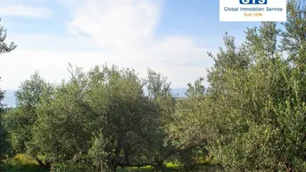 Expose +++ GRIECHENLAND - SÜDWEST-PELOPONNES: Preishammer! Bezauberndes Baugrundstück mit Meerblick +++