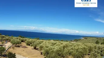 Expose +++ GRIECHENLAND –THASSOS - GRUNDSTÜCK: Nur ca. 150 Meter zum Strand +++