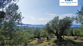 Expose +++ GRIECHENLAND - GRUNDSTÜCK - SÜDWEST-PELOPONNES: Traumlage an der Costa Navarino +++