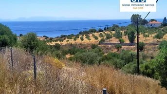 Expose +++ GRIECHENLAND - SÜD-WEST-PELOPONNES: Bezauberndes Traumgrundstück - 400 m vom Meer entfernt +++