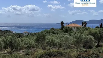 Expose +++ GRIECHENLAND - PELOPONNES: Top Baugrundstück, 240 Meter Luftlinie zum Meer bei Finikounda +++