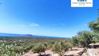 Expose +++ Griechenland - Süd-West-Peloponnes: Exzellent gelegene Baugrundstücke mit tollem Meerblick +++