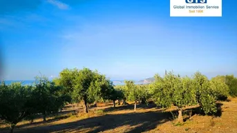 Expose +++ Griechenland - Süd-West-Peloponnes: Exzellent gelegenes Baugrundstück mit tollem Meerblick +++