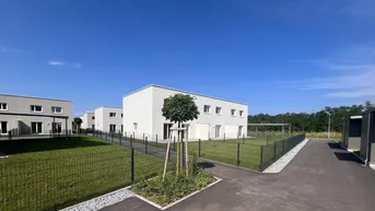 Expose Neubau: Doppel- und Reihenhausanlage mit PV-Anlage in Kronstorf, Thaling