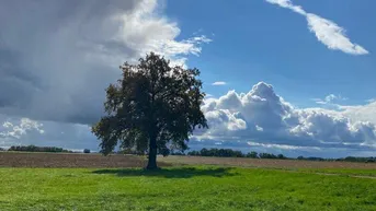 Expose K3 - Nähe Bad Füssing - alter 4 - Seitenhof mit ca. 15 ha bestem ertragreichen Ackerboden!!! PANORAMALAGE