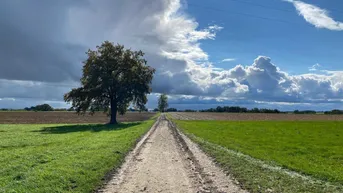 Expose K3 - Nähe Bad Füssing - alter 4 - Seitenhof mit ca. 15 ha bestem ertragreichen Ackerboden!!! PANORAMALAGE