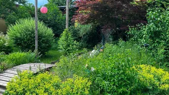 Expose K 3 - NEU - GARTENPARADIES ALS BAUGRUNDSTÜCK