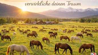 Expose K3 - Nördlich von Salzburg - LIEGENSCHAFT mit POOL geeignet für viele MÖGLICHKEITEN