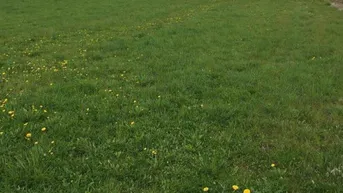 Expose ** Baugrund in Weißkirchen - 1.959 m² in Top Lage ++