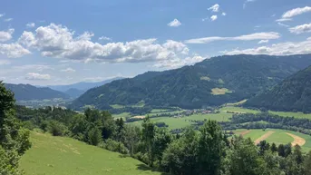 Expose *** GRUNDSTÜCK GESUCHT? - mehrmädig und ideal für Viehtrieb ***