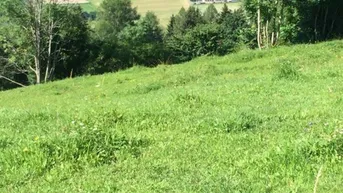 Expose Wiese 2-mähdig und Weidefläche